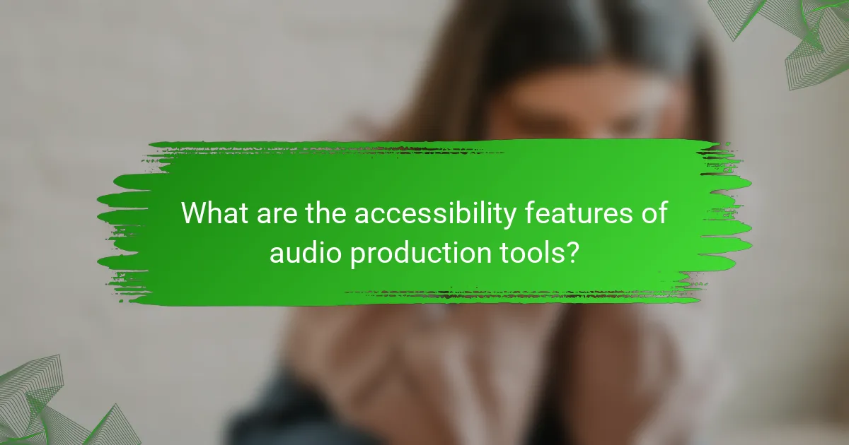 What are the accessibility features of audio production tools?